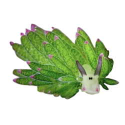 transparent image of a leafy sea bunny