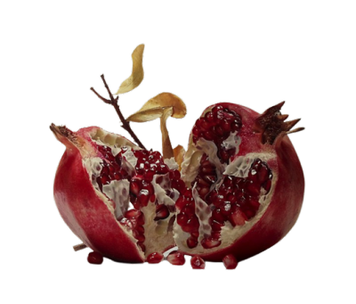 transparent image of a pomegranate